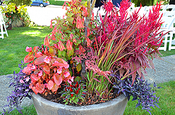 HIGH SCHOOL SWEETHEARTS